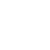 Home icons8 shield 100 2